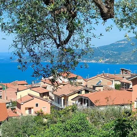 公寓 Casa Olivella