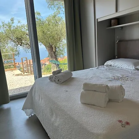 Casa Olivella 公寓